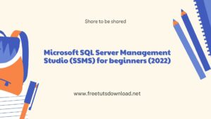 Microsoft SQL Server Management Studio (SSMS) for beginners (2022)